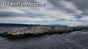 [P45]  -- <small>// FĂRĂ DESCRIERE</small> » foto by elenaadina
 - 
<span class="allrVoted glyphicon glyphicon-heart hidden" id="av1521023"></span>
<a class="m-l-10 hidden" id="sv1521023" onclick="voting_Foto_DelVot(,1521023,24560)" role="button">șterge vot <span class="glyphicon glyphicon-remove"></span></a>
<a id="v91521023" class=" c-red"  onclick="voting_Foto_SetVot(1521023)" role="button"><span class="glyphicon glyphicon-heart-empty"></span> <b>LIKE</b> = Votează poza</a> <img class="hidden"  id="f1521023W9" src="/imagini/loader.gif" border="0" /><span class="AjErrMes hidden" id="e1521023ErM"></span>