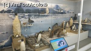 [P29] Museo del Presidio & Museo Marítimo » foto by elenaadina
 - 
<span class="allrVoted glyphicon glyphicon-heart hidden" id="av1523290"></span>
<a class="m-l-10 hidden" id="sv1523290" onclick="voting_Foto_DelVot(,1523290,24560)" role="button">șterge vot <span class="glyphicon glyphicon-remove"></span></a>
<a id="v91523290" class=" c-red"  onclick="voting_Foto_SetVot(1523290)" role="button"><span class="glyphicon glyphicon-heart-empty"></span> <b>LIKE</b> = Votează poza</a> <img class="hidden"  id="f1523290W9" src="/imagini/loader.gif" border="0" /><span class="AjErrMes hidden" id="e1523290ErM"></span>