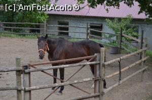 [P11] Grădina Zoologică Chişinău » foto by kelyboy
 - 
<span class="allrVoted glyphicon glyphicon-heart hidden" id="av1029669"></span>
<a class="m-l-10 hidden" id="sv1029669" onclick="voting_Foto_DelVot(,1029669,24569)" role="button">șterge vot <span class="glyphicon glyphicon-remove"></span></a>
<a id="v91029669" class=" c-red"  onclick="voting_Foto_SetVot(1029669)" role="button"><span class="glyphicon glyphicon-heart-empty"></span> <b>LIKE</b> = Votează poza</a> <img class="hidden"  id="f1029669W9" src="/imagini/loader.gif" border="0" /><span class="AjErrMes hidden" id="e1029669ErM"></span>
