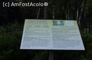 [P15] Grădina Zoologică Chişinău - ce avem noi aici? Explicaţia...  » foto by kelyboy
 - 
<span class="allrVoted glyphicon glyphicon-heart hidden" id="av1029678"></span>
<a class="m-l-10 hidden" id="sv1029678" onclick="voting_Foto_DelVot(,1029678,24569)" role="button">șterge vot <span class="glyphicon glyphicon-remove"></span></a>
<a id="v91029678" class=" c-red"  onclick="voting_Foto_SetVot(1029678)" role="button"><span class="glyphicon glyphicon-heart-empty"></span> <b>LIKE</b> = Votează poza</a> <img class="hidden"  id="f1029678W9" src="/imagini/loader.gif" border="0" /><span class="AjErrMes hidden" id="e1029678ErM"></span>