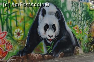 [P02] Un Panda de Chişinău!  » foto by kelyboy
 - 
<span class="allrVoted glyphicon glyphicon-heart hidden" id="av1029649"></span>
<a class="m-l-10 hidden" id="sv1029649" onclick="voting_Foto_DelVot(,1029649,24569)" role="button">șterge vot <span class="glyphicon glyphicon-remove"></span></a>
<a id="v91029649" class=" c-red"  onclick="voting_Foto_SetVot(1029649)" role="button"><span class="glyphicon glyphicon-heart-empty"></span> <b>LIKE</b> = Votează poza</a> <img class="hidden"  id="f1029649W9" src="/imagini/loader.gif" border="0" /><span class="AjErrMes hidden" id="e1029649ErM"></span>