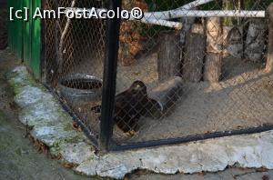 [P30] Grădina Zoologică Chişinău » foto by kelyboy
 - 
<span class="allrVoted glyphicon glyphicon-heart hidden" id="av1029712"></span>
<a class="m-l-10 hidden" id="sv1029712" onclick="voting_Foto_DelVot(,1029712,24569)" role="button">șterge vot <span class="glyphicon glyphicon-remove"></span></a>
<a id="v91029712" class=" c-red"  onclick="voting_Foto_SetVot(1029712)" role="button"><span class="glyphicon glyphicon-heart-empty"></span> <b>LIKE</b> = Votează poza</a> <img class="hidden"  id="f1029712W9" src="/imagini/loader.gif" border="0" /><span class="AjErrMes hidden" id="e1029712ErM"></span>