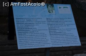 [P31] Grădina Zoologică Chişinău » foto by kelyboy
 - 
<span class="allrVoted glyphicon glyphicon-heart hidden" id="av1029713"></span>
<a class="m-l-10 hidden" id="sv1029713" onclick="voting_Foto_DelVot(,1029713,24569)" role="button">șterge vot <span class="glyphicon glyphicon-remove"></span></a>
<a id="v91029713" class=" c-red"  onclick="voting_Foto_SetVot(1029713)" role="button"><span class="glyphicon glyphicon-heart-empty"></span> <b>LIKE</b> = Votează poza</a> <img class="hidden"  id="f1029713W9" src="/imagini/loader.gif" border="0" /><span class="AjErrMes hidden" id="e1029713ErM"></span>