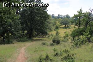 [P22] Parcul Natural Porțile de Fier, Masivul Ciucaru Mare, Traseul trece și prin f&acirc;nețe, ne &icirc;ntoarcem » foto by mprofeanu
 - 
<span class="allrVoted glyphicon glyphicon-heart hidden" id="av1191454"></span>
<a class="m-l-10 hidden" id="sv1191454" onclick="voting_Foto_DelVot(,1191454,24578)" role="button">șterge vot <span class="glyphicon glyphicon-remove"></span></a>
<a id="v91191454" class=" c-red"  onclick="voting_Foto_SetVot(1191454)" role="button"><span class="glyphicon glyphicon-heart-empty"></span> <b>LIKE</b> = Votează poza</a> <img class="hidden"  id="f1191454W9" src="/imagini/loader.gif" border="0" /><span class="AjErrMes hidden" id="e1191454ErM"></span>