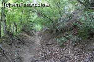 [P26] Parcul Natural Porțile de Fier, Masivul Ciucaru Mic, Canal verde pe Traseul Dubova &ndash; Ciucaru Mic » foto by mprofeanu
 - 
<span class="allrVoted glyphicon glyphicon-heart hidden" id="av1191458"></span>
<a class="m-l-10 hidden" id="sv1191458" onclick="voting_Foto_DelVot(,1191458,24578)" role="button">șterge vot <span class="glyphicon glyphicon-remove"></span></a>
<a id="v91191458" class=" c-red"  onclick="voting_Foto_SetVot(1191458)" role="button"><span class="glyphicon glyphicon-heart-empty"></span> <b>LIKE</b> = Votează poza</a> <img class="hidden"  id="f1191458W9" src="/imagini/loader.gif" border="0" /><span class="AjErrMes hidden" id="e1191458ErM"></span>