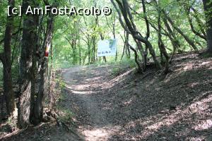 [P29] Parcul Natural Porțile de Fier, Masivul Ciucaru Mic, Traseul Dubova &ndash; Ciucaru Mic, Ne apropiem de Locul de popas și de bifurcație dintre cele două trasee, p&acirc;nă aici am tot urcat, am ajuns pe platou... » foto by mprofeanu
 - 
<span class="allrVoted glyphicon glyphicon-heart hidden" id="av1191461"></span>
<a class="m-l-10 hidden" id="sv1191461" onclick="voting_Foto_DelVot(,1191461,24578)" role="button">șterge vot <span class="glyphicon glyphicon-remove"></span></a>
<a id="v91191461" class=" c-red"  onclick="voting_Foto_SetVot(1191461)" role="button"><span class="glyphicon glyphicon-heart-empty"></span> <b>LIKE</b> = Votează poza</a> <img class="hidden"  id="f1191461W9" src="/imagini/loader.gif" border="0" /><span class="AjErrMes hidden" id="e1191461ErM"></span>