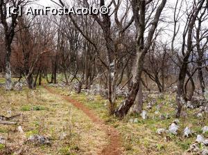 [P18] circuit Vf. Ciucărul Mare<p> poteca » foto by Dana2008
 - 
<span class="allrVoted glyphicon glyphicon-heart hidden" id="av1060252"></span>
<a class="m-l-10 hidden" id="sv1060252" onclick="voting_Foto_DelVot(,1060252,24578)" role="button">șterge vot <span class="glyphicon glyphicon-remove"></span></a>
<a id="v91060252" class=" c-red"  onclick="voting_Foto_SetVot(1060252)" role="button"><span class="glyphicon glyphicon-heart-empty"></span> <b>LIKE</b> = Votează poza</a> <img class="hidden"  id="f1060252W9" src="/imagini/loader.gif" border="0" /><span class="AjErrMes hidden" id="e1060252ErM"></span>