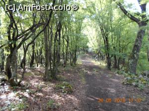 [P12] partea mai lejeră a traseului » foto by zlatna
 - 
<span class="allrVoted glyphicon glyphicon-heart hidden" id="av1030455"></span>
<a class="m-l-10 hidden" id="sv1030455" onclick="voting_Foto_DelVot(,1030455,24578)" role="button">șterge vot <span class="glyphicon glyphicon-remove"></span></a>
<a id="v91030455" class=" c-red"  onclick="voting_Foto_SetVot(1030455)" role="button"><span class="glyphicon glyphicon-heart-empty"></span> <b>LIKE</b> = Votează poza</a> <img class="hidden"  id="f1030455W9" src="/imagini/loader.gif" border="0" /><span class="AjErrMes hidden" id="e1030455ErM"></span>