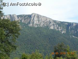 [P13] ce frumos e şi în Serbia » foto by zlatna
 - 
<span class="allrVoted glyphicon glyphicon-heart hidden" id="av1030456"></span>
<a class="m-l-10 hidden" id="sv1030456" onclick="voting_Foto_DelVot(,1030456,24578)" role="button">șterge vot <span class="glyphicon glyphicon-remove"></span></a>
<a id="v91030456" class=" c-red"  onclick="voting_Foto_SetVot(1030456)" role="button"><span class="glyphicon glyphicon-heart-empty"></span> <b>LIKE</b> = Votează poza</a> <img class="hidden"  id="f1030456W9" src="/imagini/loader.gif" border="0" /><span class="AjErrMes hidden" id="e1030456ErM"></span>