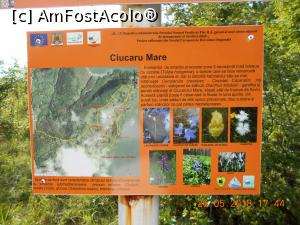 [P14] informaţii despre flora din zonă » foto by zlatna
 - 
<span class="allrVoted glyphicon glyphicon-heart hidden" id="av1030457"></span>
<a class="m-l-10 hidden" id="sv1030457" onclick="voting_Foto_DelVot(,1030457,24578)" role="button">șterge vot <span class="glyphicon glyphicon-remove"></span></a>
<a id="v91030457" class=" c-red"  onclick="voting_Foto_SetVot(1030457)" role="button"><span class="glyphicon glyphicon-heart-empty"></span> <b>LIKE</b> = Votează poza</a> <img class="hidden"  id="f1030457W9" src="/imagini/loader.gif" border="0" /><span class="AjErrMes hidden" id="e1030457ErM"></span>