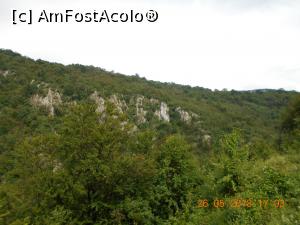 [P02] pe acolo mergem la Ciucăru Mare » foto by zlatna
 - 
<span class="allrVoted glyphicon glyphicon-heart hidden" id="av1030445"></span>
<a class="m-l-10 hidden" id="sv1030445" onclick="voting_Foto_DelVot(,1030445,24578)" role="button">șterge vot <span class="glyphicon glyphicon-remove"></span></a>
<a id="v91030445" class=" c-red"  onclick="voting_Foto_SetVot(1030445)" role="button"><span class="glyphicon glyphicon-heart-empty"></span> <b>LIKE</b> = Votează poza</a> <img class="hidden"  id="f1030445W9" src="/imagini/loader.gif" border="0" /><span class="AjErrMes hidden" id="e1030445ErM"></span>