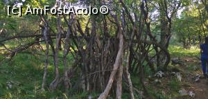 [P18] Intrăm din nou &icirc;n pădure, un fost adăpost. » foto by Aurici
 - 
<span class="allrVoted glyphicon glyphicon-heart hidden" id="av1172481"></span>
<a class="m-l-10 hidden" id="sv1172481" onclick="voting_Foto_DelVot(,1172481,24578)" role="button">șterge vot <span class="glyphicon glyphicon-remove"></span></a>
<a id="v91172481" class=" c-red"  onclick="voting_Foto_SetVot(1172481)" role="button"><span class="glyphicon glyphicon-heart-empty"></span> <b>LIKE</b> = Votează poza</a> <img class="hidden"  id="f1172481W9" src="/imagini/loader.gif" border="0" /><span class="AjErrMes hidden" id="e1172481ErM"></span>