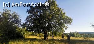 [P19] Din nou prin luminișuri spre casă. » foto by Aurici
 - 
<span class="allrVoted glyphicon glyphicon-heart hidden" id="av1172482"></span>
<a class="m-l-10 hidden" id="sv1172482" onclick="voting_Foto_DelVot(,1172482,24578)" role="button">șterge vot <span class="glyphicon glyphicon-remove"></span></a>
<a id="v91172482" class=" c-red"  onclick="voting_Foto_SetVot(1172482)" role="button"><span class="glyphicon glyphicon-heart-empty"></span> <b>LIKE</b> = Votează poza</a> <img class="hidden"  id="f1172482W9" src="/imagini/loader.gif" border="0" /><span class="AjErrMes hidden" id="e1172482ErM"></span>