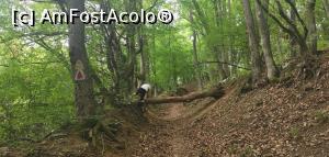 [P29] Dec&acirc;t să mă aplec mai bine &icirc;l sar. » foto by Aurici
 - 
<span class="allrVoted glyphicon glyphicon-heart hidden" id="av1172492"></span>
<a class="m-l-10 hidden" id="sv1172492" onclick="voting_Foto_DelVot(,1172492,24578)" role="button">șterge vot <span class="glyphicon glyphicon-remove"></span></a>
<a id="v91172492" class=" c-red"  onclick="voting_Foto_SetVot(1172492)" role="button"><span class="glyphicon glyphicon-heart-empty"></span> <b>LIKE</b> = Votează poza</a> <img class="hidden"  id="f1172492W9" src="/imagini/loader.gif" border="0" /><span class="AjErrMes hidden" id="e1172492ErM"></span>