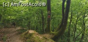 [P44] Ciucarul Mic - &icirc;napoi spre mașină. » foto by Aurici
 - 
<span class="allrVoted glyphicon glyphicon-heart hidden" id="av1172507"></span>
<a class="m-l-10 hidden" id="sv1172507" onclick="voting_Foto_DelVot(,1172507,24578)" role="button">șterge vot <span class="glyphicon glyphicon-remove"></span></a>
<a id="v91172507" class=" c-red"  onclick="voting_Foto_SetVot(1172507)" role="button"><span class="glyphicon glyphicon-heart-empty"></span> <b>LIKE</b> = Votează poza</a> <img class="hidden"  id="f1172507W9" src="/imagini/loader.gif" border="0" /><span class="AjErrMes hidden" id="e1172507ErM"></span>