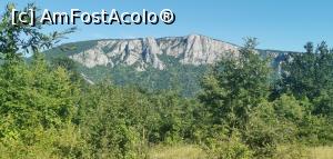 [P07] Ciucarul Mare, primul luminiș cu vedere la Știrbatul Mare din Serbia. » foto by Aurici
 - 
<span class="allrVoted glyphicon glyphicon-heart hidden" id="av1172470"></span>
<a class="m-l-10 hidden" id="sv1172470" onclick="voting_Foto_DelVot(,1172470,24578)" role="button">șterge vot <span class="glyphicon glyphicon-remove"></span></a>
<a id="v91172470" class=" c-red"  onclick="voting_Foto_SetVot(1172470)" role="button"><span class="glyphicon glyphicon-heart-empty"></span> <b>LIKE</b> = Votează poza</a> <img class="hidden"  id="f1172470W9" src="/imagini/loader.gif" border="0" /><span class="AjErrMes hidden" id="e1172470ErM"></span>