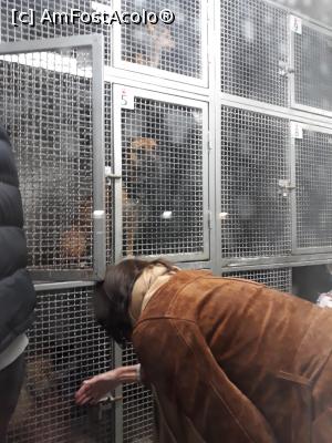 [P13] Hotel Transilvania 3, spatiu pentru animale pe feribot » foto by adrianbogdan
 - 
<span class="allrVoted glyphicon glyphicon-heart hidden" id="av1030908"></span>
<a class="m-l-10 hidden" id="sv1030908" onclick="voting_Foto_DelVot(,1030908,24584)" role="button">șterge vot <span class="glyphicon glyphicon-remove"></span></a>
<a id="v91030908" class=" c-red"  onclick="voting_Foto_SetVot(1030908)" role="button"><span class="glyphicon glyphicon-heart-empty"></span> <b>LIKE</b> = Votează poza</a> <img class="hidden"  id="f1030908W9" src="/imagini/loader.gif" border="0" /><span class="AjErrMes hidden" id="e1030908ErM"></span>