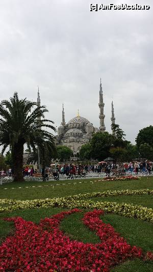[P10] Moscheea Albastra » foto by popescuionut
 - 
<span class="allrVoted glyphicon glyphicon-heart hidden" id="av515044"></span>
<a class="m-l-10 hidden" id="sv515044" onclick="voting_Foto_DelVot(,515044,24606)" role="button">șterge vot <span class="glyphicon glyphicon-remove"></span></a>
<a id="v9515044" class=" c-red"  onclick="voting_Foto_SetVot(515044)" role="button"><span class="glyphicon glyphicon-heart-empty"></span> <b>LIKE</b> = Votează poza</a> <img class="hidden"  id="f515044W9" src="/imagini/loader.gif" border="0" /><span class="AjErrMes hidden" id="e515044ErM"></span>
