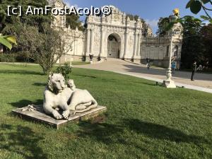 [P15] Dolmabahce » foto by krisstinna
 - 
<span class="allrVoted glyphicon glyphicon-heart hidden" id="av1126778"></span>
<a class="m-l-10 hidden" id="sv1126778" onclick="voting_Foto_DelVot(,1126778,24606)" role="button">șterge vot <span class="glyphicon glyphicon-remove"></span></a>
<a id="v91126778" class=" c-red"  onclick="voting_Foto_SetVot(1126778)" role="button"><span class="glyphicon glyphicon-heart-empty"></span> <b>LIKE</b> = Votează poza</a> <img class="hidden"  id="f1126778W9" src="/imagini/loader.gif" border="0" /><span class="AjErrMes hidden" id="e1126778ErM"></span>