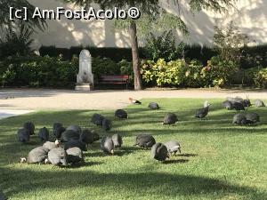 [P24] Dolmabahce » foto by krisstinna
 - 
<span class="allrVoted glyphicon glyphicon-heart hidden" id="av1126787"></span>
<a class="m-l-10 hidden" id="sv1126787" onclick="voting_Foto_DelVot(,1126787,24606)" role="button">șterge vot <span class="glyphicon glyphicon-remove"></span></a>
<a id="v91126787" class=" c-red"  onclick="voting_Foto_SetVot(1126787)" role="button"><span class="glyphicon glyphicon-heart-empty"></span> <b>LIKE</b> = Votează poza</a> <img class="hidden"  id="f1126787W9" src="/imagini/loader.gif" border="0" /><span class="AjErrMes hidden" id="e1126787ErM"></span>