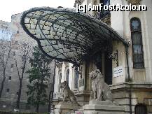[P10] Palatul Cantacuzino - una din ferestrele lateralece lumineaza  holul » foto by Diaura*
 - 
<span class="allrVoted glyphicon glyphicon-heart hidden" id="av34152"></span>
<a class="m-l-10 hidden" id="sv34152" onclick="voting_Foto_DelVot(,34152,24638)" role="button">șterge vot <span class="glyphicon glyphicon-remove"></span></a>
<a id="v934152" class=" c-red"  onclick="voting_Foto_SetVot(34152)" role="button"><span class="glyphicon glyphicon-heart-empty"></span> <b>LIKE</b> = Votează poza</a> <img class="hidden"  id="f34152W9" src="/imagini/loader.gif" border="0" /><span class="AjErrMes hidden" id="e34152ErM"></span>