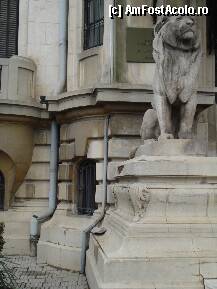 [P14] Palatul Cantacuzino - unul din leii ce strajuiesc intrarea » foto by Diaura*
 - 
<span class="allrVoted glyphicon glyphicon-heart hidden" id="av34157"></span>
<a class="m-l-10 hidden" id="sv34157" onclick="voting_Foto_DelVot(,34157,24638)" role="button">șterge vot <span class="glyphicon glyphicon-remove"></span></a>
<a id="v934157" class=" c-red"  onclick="voting_Foto_SetVot(34157)" role="button"><span class="glyphicon glyphicon-heart-empty"></span> <b>LIKE</b> = Votează poza</a> <img class="hidden"  id="f34157W9" src="/imagini/loader.gif" border="0" /><span class="AjErrMes hidden" id="e34157ErM"></span>