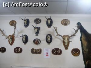 [P02] 2. Pe pereții încăperii de la parter sunt expuse trofee de vânătoare. » foto by msnd
 - 
<span class="allrVoted glyphicon glyphicon-heart hidden" id="av1275270"></span>
<a class="m-l-10 hidden" id="sv1275270" onclick="voting_Foto_DelVot(,1275270,24659)" role="button">șterge vot <span class="glyphicon glyphicon-remove"></span></a>
<a id="v91275270" class=" c-red"  onclick="voting_Foto_SetVot(1275270)" role="button"><span class="glyphicon glyphicon-heart-empty"></span> <b>LIKE</b> = Votează poza</a> <img class="hidden"  id="f1275270W9" src="/imagini/loader.gif" border="0" /><span class="AjErrMes hidden" id="e1275270ErM"></span>