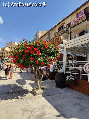 [P22] La pas prin Tropea » foto by crismis
 - 
<span class="allrVoted glyphicon glyphicon-heart hidden" id="av1498473"></span>
<a class="m-l-10 hidden" id="sv1498473" onclick="voting_Foto_DelVot(,1498473,24664)" role="button">șterge vot <span class="glyphicon glyphicon-remove"></span></a>
<a id="v91498473" class=" c-red"  onclick="voting_Foto_SetVot(1498473)" role="button"><span class="glyphicon glyphicon-heart-empty"></span> <b>LIKE</b> = Votează poza</a> <img class="hidden"  id="f1498473W9" src="/imagini/loader.gif" border="0" /><span class="AjErrMes hidden" id="e1498473ErM"></span>