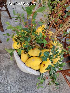 [P38] La pas prin Tropea » foto by crismis
 - 
<span class="allrVoted glyphicon glyphicon-heart hidden" id="av1498489"></span>
<a class="m-l-10 hidden" id="sv1498489" onclick="voting_Foto_DelVot(,1498489,24664)" role="button">șterge vot <span class="glyphicon glyphicon-remove"></span></a>
<a id="v91498489" class=" c-red"  onclick="voting_Foto_SetVot(1498489)" role="button"><span class="glyphicon glyphicon-heart-empty"></span> <b>LIKE</b> = Votează poza</a> <img class="hidden"  id="f1498489W9" src="/imagini/loader.gif" border="0" /><span class="AjErrMes hidden" id="e1498489ErM"></span>