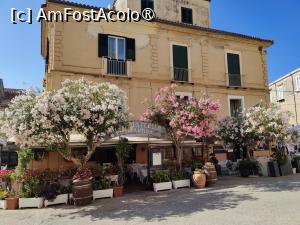 [P39] La pas prin Tropea » foto by crismis
 - 
<span class="allrVoted glyphicon glyphicon-heart hidden" id="av1498490"></span>
<a class="m-l-10 hidden" id="sv1498490" onclick="voting_Foto_DelVot(,1498490,24664)" role="button">șterge vot <span class="glyphicon glyphicon-remove"></span></a>
<a id="v91498490" class=" c-red"  onclick="voting_Foto_SetVot(1498490)" role="button"><span class="glyphicon glyphicon-heart-empty"></span> <b>LIKE</b> = Votează poza</a> <img class="hidden"  id="f1498490W9" src="/imagini/loader.gif" border="0" /><span class="AjErrMes hidden" id="e1498490ErM"></span>