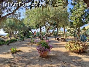 [P81] La plimbare prin grădinile de pe insulă » foto by crismis
 - 
<span class="allrVoted glyphicon glyphicon-heart hidden" id="av1498554"></span>
<a class="m-l-10 hidden" id="sv1498554" onclick="voting_Foto_DelVot(,1498554,24664)" role="button">șterge vot <span class="glyphicon glyphicon-remove"></span></a>
<a id="v91498554" class=" c-red"  onclick="voting_Foto_SetVot(1498554)" role="button"><span class="glyphicon glyphicon-heart-empty"></span> <b>LIKE</b> = Votează poza</a> <img class="hidden"  id="f1498554W9" src="/imagini/loader.gif" border="0" /><span class="AjErrMes hidden" id="e1498554ErM"></span>