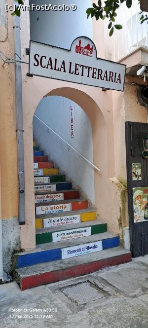 [P43] Scala Letteraria » foto by irinad
 - 
<span class="allrVoted glyphicon glyphicon-heart hidden" id="av1523131"></span>
<a class="m-l-10 hidden" id="sv1523131" onclick="voting_Foto_DelVot(,1523131,24664)" role="button">șterge vot <span class="glyphicon glyphicon-remove"></span></a>
<a id="v91523131" class=" c-red"  onclick="voting_Foto_SetVot(1523131)" role="button"><span class="glyphicon glyphicon-heart-empty"></span> <b>LIKE</b> = Votează poza</a> <img class="hidden"  id="f1523131W9" src="/imagini/loader.gif" border="0" /><span class="AjErrMes hidden" id="e1523131ErM"></span>