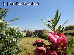 [P21] Printre leandrii, o privire către Hamam Castle.  » foto by maryka
 - 
<span class="allrVoted glyphicon glyphicon-heart hidden" id="av1000134"></span>
<a class="m-l-10 hidden" id="sv1000134" onclick="voting_Foto_DelVot(,1000134,24680)" role="button">șterge vot <span class="glyphicon glyphicon-remove"></span></a>
<a id="v91000134" class=" c-red"  onclick="voting_Foto_SetVot(1000134)" role="button"><span class="glyphicon glyphicon-heart-empty"></span> <b>LIKE</b> = Votează poza</a> <img class="hidden"  id="f1000134W9" src="/imagini/loader.gif" border="0" /><span class="AjErrMes hidden" id="e1000134ErM"></span>