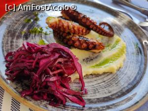 [P22] Ristorante Scacco Matto; caracatiță » foto by crismis
 - 
<span class="allrVoted glyphicon glyphicon-heart hidden" id="av1499023"></span>
<a class="m-l-10 hidden" id="sv1499023" onclick="voting_Foto_DelVot(,1499023,24692)" role="button">șterge vot <span class="glyphicon glyphicon-remove"></span></a>
<a id="v91499023" class=" c-red"  onclick="voting_Foto_SetVot(1499023)" role="button"><span class="glyphicon glyphicon-heart-empty"></span> <b>LIKE</b> = Votează poza</a> <img class="hidden"  id="f1499023W9" src="/imagini/loader.gif" border="0" /><span class="AjErrMes hidden" id="e1499023ErM"></span>