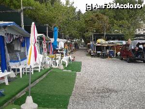 [P02] Corturile si rulotele beneficiau de umbra in aproape tot camping-ul » foto by albena
 - 
<span class="allrVoted glyphicon glyphicon-heart hidden" id="av475992"></span>
<a class="m-l-10 hidden" id="sv475992" onclick="voting_Foto_DelVot(,475992,24715)" role="button">șterge vot <span class="glyphicon glyphicon-remove"></span></a>
<a id="v9475992" class=" c-red"  onclick="voting_Foto_SetVot(475992)" role="button"><span class="glyphicon glyphicon-heart-empty"></span> <b>LIKE</b> = Votează poza</a> <img class="hidden"  id="f475992W9" src="/imagini/loader.gif" border="0" /><span class="AjErrMes hidden" id="e475992ErM"></span>