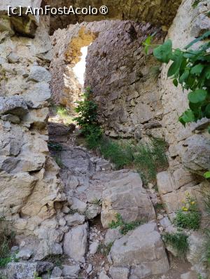 [P26] În umbra marilor ruine » foto by crismis
 - 
<span class="allrVoted glyphicon glyphicon-heart hidden" id="av1390464"></span>
<a class="m-l-10 hidden" id="sv1390464" onclick="voting_Foto_DelVot(,1390464,24963)" role="button">șterge vot <span class="glyphicon glyphicon-remove"></span></a>
<a id="v91390464" class=" c-red"  onclick="voting_Foto_SetVot(1390464)" role="button"><span class="glyphicon glyphicon-heart-empty"></span> <b>LIKE</b> = Votează poza</a> <img class="hidden"  id="f1390464W9" src="/imagini/loader.gif" border="0" /><span class="AjErrMes hidden" id="e1390464ErM"></span>