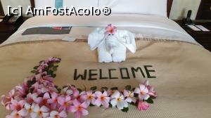 [P04] Camera cu o mica supriza de bun venit :)  » foto by georgerizescu
 - 
<span class="allrVoted glyphicon glyphicon-heart hidden" id="av1059421"></span>
<a class="m-l-10 hidden" id="sv1059421" onclick="voting_Foto_DelVot(,1059421,24976)" role="button">șterge vot <span class="glyphicon glyphicon-remove"></span></a>
<a id="v91059421" class=" c-red"  onclick="voting_Foto_SetVot(1059421)" role="button"><span class="glyphicon glyphicon-heart-empty"></span> <b>LIKE</b> = Votează poza</a> <img class="hidden"  id="f1059421W9" src="/imagini/loader.gif" border="0" /><span class="AjErrMes hidden" id="e1059421ErM"></span>