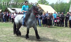 [P10] Parada cailor de rasă (5). Mai ”rău” ca-n filme...  » foto by Lucien
 - 
<span class="allrVoted glyphicon glyphicon-heart hidden" id="av733000"></span>
<a class="m-l-10 hidden" id="sv733000" onclick="voting_Foto_DelVot(,733000,24995)" role="button">șterge vot <span class="glyphicon glyphicon-remove"></span></a>
<a id="v9733000" class=" c-red"  onclick="voting_Foto_SetVot(733000)" role="button"><span class="glyphicon glyphicon-heart-empty"></span> <b>LIKE</b> = Votează poza</a> <img class="hidden"  id="f733000W9" src="/imagini/loader.gif" border="0" /><span class="AjErrMes hidden" id="e733000ErM"></span>