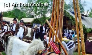[P27] Buciumașii se odihnesc și ei alături de clienții stânelor » foto by Lucien
 - 
<span class="allrVoted glyphicon glyphicon-heart hidden" id="av733017"></span>
<a class="m-l-10 hidden" id="sv733017" onclick="voting_Foto_DelVot(,733017,24995)" role="button">șterge vot <span class="glyphicon glyphicon-remove"></span></a>
<a id="v9733017" class=" c-red"  onclick="voting_Foto_SetVot(733017)" role="button"><span class="glyphicon glyphicon-heart-empty"></span> <b>LIKE</b> = Votează poza</a> <img class="hidden"  id="f733017W9" src="/imagini/loader.gif" border="0" /><span class="AjErrMes hidden" id="e733017ErM"></span>