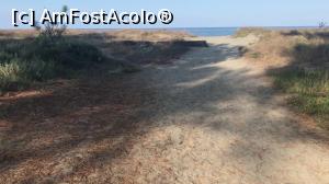 [P09] Drumul spre plajă.  » foto by Mika
 - 
<span class="allrVoted glyphicon glyphicon-heart hidden" id="av1065726"></span>
<a class="m-l-10 hidden" id="sv1065726" onclick="voting_Foto_DelVot(,1065726,25051)" role="button">șterge vot <span class="glyphicon glyphicon-remove"></span></a>
<a id="v91065726" class=" c-red"  onclick="voting_Foto_SetVot(1065726)" role="button"><span class="glyphicon glyphicon-heart-empty"></span> <b>LIKE</b> = Votează poza</a> <img class="hidden"  id="f1065726W9" src="/imagini/loader.gif" border="0" /><span class="AjErrMes hidden" id="e1065726ErM"></span>