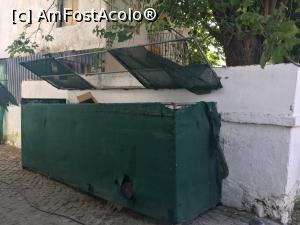 [P01] Tomberoanele pe care le vedeam zilnic, dimineata, la pranz si seara » foto by Adina - addcont
 - 
<span class="allrVoted glyphicon glyphicon-heart hidden" id="av1065953"></span>
<a class="m-l-10 hidden" id="sv1065953" onclick="voting_Foto_DelVot(,1065953,25055)" role="button">șterge vot <span class="glyphicon glyphicon-remove"></span></a>
<a id="v91065953" class=" c-red"  onclick="voting_Foto_SetVot(1065953)" role="button"><span class="glyphicon glyphicon-heart-empty"></span> <b>LIKE</b> = Votează poza</a> <img class="hidden"  id="f1065953W9" src="/imagini/loader.gif" border="0" /><span class="AjErrMes hidden" id="e1065953ErM"></span>