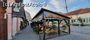 [P02] Carei, Pizzeria – Restaurant Grande, Terasa din Strada 1 Decembrie 1918 » foto by mprofeanu
 - 
<span class="allrVoted glyphicon glyphicon-heart hidden" id="av1406146"></span>
<a class="m-l-10 hidden" id="sv1406146" onclick="voting_Foto_DelVot(,1406146,25190)" role="button">șterge vot <span class="glyphicon glyphicon-remove"></span></a>
<a id="v91406146" class=" c-red"  onclick="voting_Foto_SetVot(1406146)" role="button"><span class="glyphicon glyphicon-heart-empty"></span> <b>LIKE</b> = Votează poza</a> <img class="hidden"  id="f1406146W9" src="/imagini/loader.gif" border="0" /><span class="AjErrMes hidden" id="e1406146ErM"></span>