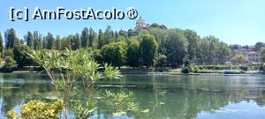 [P18] Fluviul Pad sau Po, pe care alunecă schifuri, și vedere spre Monte dei Cappuccini » foto by BristenaBrad
 - 
<span class="allrVoted glyphicon glyphicon-heart hidden" id="av1540695"></span>
<a class="m-l-10 hidden" id="sv1540695" onclick="voting_Foto_DelVot(,1540695,25210)" role="button">șterge vot <span class="glyphicon glyphicon-remove"></span></a>
<a id="v91540695" class=" c-red"  onclick="voting_Foto_SetVot(1540695)" role="button"><span class="glyphicon glyphicon-heart-empty"></span> <b>LIKE</b> = Votează poza</a> <img class="hidden"  id="f1540695W9" src="/imagini/loader.gif" border="0" /><span class="AjErrMes hidden" id="e1540695ErM"></span>