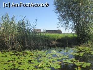 [P03] in drum spre letea -casute intr-un peisaj de basm - cum o fi sa traiesti aici? » foto by ile07
 - 
<span class="allrVoted glyphicon glyphicon-heart hidden" id="av778828"></span>
<a class="m-l-10 hidden" id="sv778828" onclick="voting_Foto_DelVot(,778828,25326)" role="button">șterge vot <span class="glyphicon glyphicon-remove"></span></a>
<a id="v9778828" class=" c-red"  onclick="voting_Foto_SetVot(778828)" role="button"><span class="glyphicon glyphicon-heart-empty"></span> <b>LIKE</b> = Votează poza</a> <img class="hidden"  id="f778828W9" src="/imagini/loader.gif" border="0" /><span class="AjErrMes hidden" id="e778828ErM"></span>