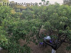 [P25] Vedere de la balconul camerei 5 spre grădină și masa noastră.  » foto by Aurici
 - 
<span class="allrVoted glyphicon glyphicon-heart hidden" id="av1084026"></span>
<a class="m-l-10 hidden" id="sv1084026" onclick="voting_Foto_DelVot(,1084026,25342)" role="button">șterge vot <span class="glyphicon glyphicon-remove"></span></a>
<a id="v91084026" class=" c-red"  onclick="voting_Foto_SetVot(1084026)" role="button"><span class="glyphicon glyphicon-heart-empty"></span> <b>LIKE</b> = Votează poza</a> <img class="hidden"  id="f1084026W9" src="/imagini/loader.gif" border="0" /><span class="AjErrMes hidden" id="e1084026ErM"></span>