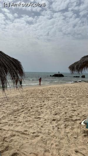 [P03]  -- <small>// FĂRĂ DESCRIERE</small> » foto by roioana
 - 
<span class="allrVoted glyphicon glyphicon-heart hidden" id="av1499343"></span>
<a class="m-l-10 hidden" id="sv1499343" onclick="voting_Foto_DelVot(,1499343,25385)" role="button">șterge vot <span class="glyphicon glyphicon-remove"></span></a>
<a id="v91499343" class=" c-red"  onclick="voting_Foto_SetVot(1499343)" role="button"><span class="glyphicon glyphicon-heart-empty"></span> <b>LIKE</b> = Votează poza</a> <img class="hidden"  id="f1499343W9" src="/imagini/loader.gif" border="0" /><span class="AjErrMes hidden" id="e1499343ErM"></span>