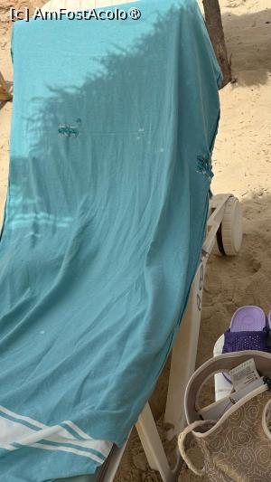 [P04]  -- <small>// FĂRĂ DESCRIERE</small> » foto by roioana
 - 
<span class="allrVoted glyphicon glyphicon-heart hidden" id="av1499344"></span>
<a class="m-l-10 hidden" id="sv1499344" onclick="voting_Foto_DelVot(,1499344,25385)" role="button">șterge vot <span class="glyphicon glyphicon-remove"></span></a>
<a id="v91499344" class=" c-red"  onclick="voting_Foto_SetVot(1499344)" role="button"><span class="glyphicon glyphicon-heart-empty"></span> <b>LIKE</b> = Votează poza</a> <img class="hidden"  id="f1499344W9" src="/imagini/loader.gif" border="0" /><span class="AjErrMes hidden" id="e1499344ErM"></span>