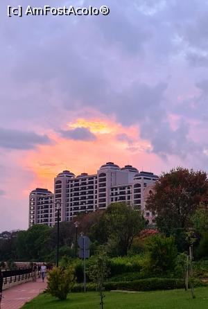 [P31]  -- <small>// FĂRĂ DESCRIERE</small> » foto by Florris
 - 
<span class="allrVoted glyphicon glyphicon-heart hidden" id="av1236688"></span>
<a class="m-l-10 hidden" id="sv1236688" onclick="voting_Foto_DelVot(,1236688,25393)" role="button">șterge vot <span class="glyphicon glyphicon-remove"></span></a>
<a id="v91236688" class=" c-red"  onclick="voting_Foto_SetVot(1236688)" role="button"><span class="glyphicon glyphicon-heart-empty"></span> <b>LIKE</b> = Votează poza</a> <img class="hidden"  id="f1236688W9" src="/imagini/loader.gif" border="0" /><span class="AjErrMes hidden" id="e1236688ErM"></span>