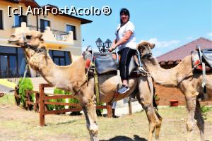 [P02] Ride camel » foto by animaluta25
 - 
<span class="allrVoted glyphicon glyphicon-heart hidden" id="av1173227"></span>
<a class="m-l-10 hidden" id="sv1173227" onclick="voting_Foto_DelVot(,1173227,25393)" role="button">șterge vot <span class="glyphicon glyphicon-remove"></span></a>
<a id="v91173227" class=" c-red"  onclick="voting_Foto_SetVot(1173227)" role="button"><span class="glyphicon glyphicon-heart-empty"></span> <b>LIKE</b> = Votează poza</a> <img class="hidden"  id="f1173227W9" src="/imagini/loader.gif" border="0" /><span class="AjErrMes hidden" id="e1173227ErM"></span>