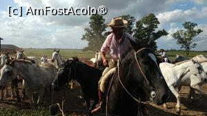 [P41]  -- <small>// FĂRĂ DESCRIERE</small> » foto by elenaadina
 - 
<span class="allrVoted glyphicon glyphicon-heart hidden" id="av1519398"></span>
<a class="m-l-10 hidden" id="sv1519398" onclick="voting_Foto_DelVot(,1519398,25466)" role="button">șterge vot <span class="glyphicon glyphicon-remove"></span></a>
<a id="v91519398" class=" c-red"  onclick="voting_Foto_SetVot(1519398)" role="button"><span class="glyphicon glyphicon-heart-empty"></span> <b>LIKE</b> = Votează poza</a> <img class="hidden"  id="f1519398W9" src="/imagini/loader.gif" border="0" /><span class="AjErrMes hidden" id="e1519398ErM"></span>